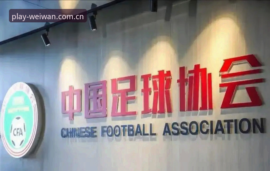 中国足协公布第三批禁足名单最新动态，65人受罚行业再掀严打风暴